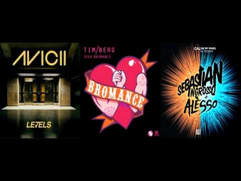 Avicii, Tim Berg, Sebastian Ingrosso & Alesso - Calling Bromance Levels (Asteriuss Bootleg)