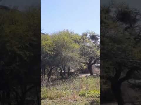 MARAVILLOSA NATURALEZA, CAMINIAGA, CERRO COLORADO, CÓRDOBA