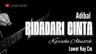 Download lagu Bidadari Cinta - Adibal - Karaoke Akustik mp3