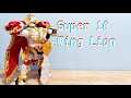 Super 10 DX Wing Lion Review