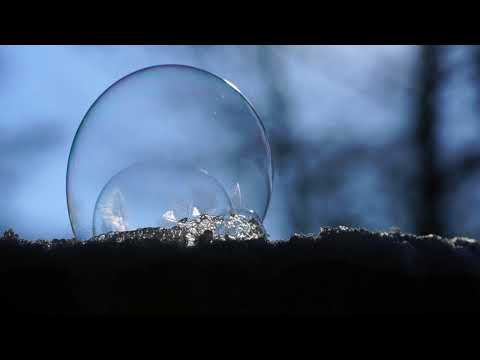 Trys skirtingos nišos - Amžini