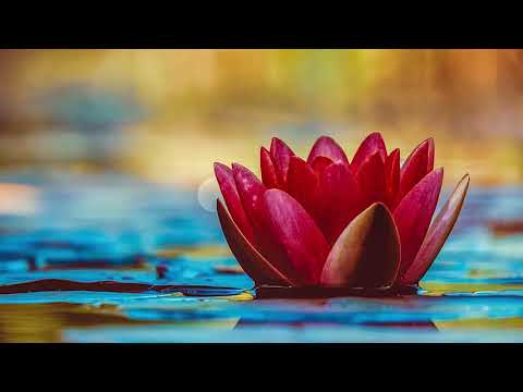 NOU!!! GRUPUL EFRATA BETHLEHEM LONDON - M-ai binecuvantat, o, Doamne! (ALBUM 2018)