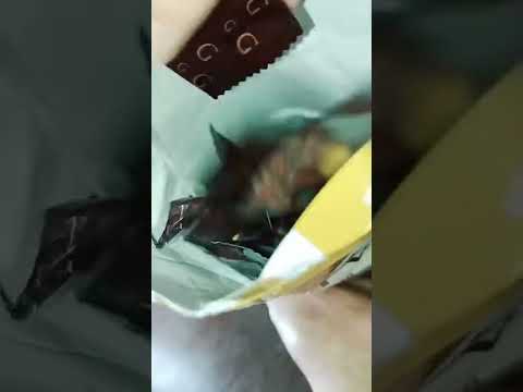 GODIVA | MASTERPIECE GANACHE HEART
