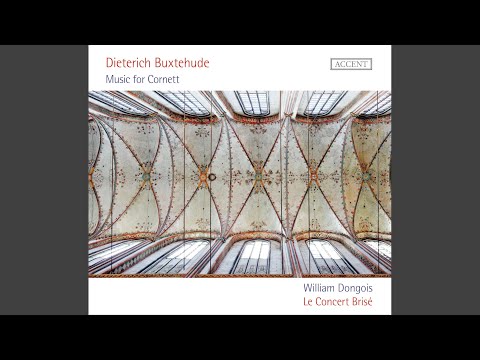 Sonata in A Minor, BuxWV 272