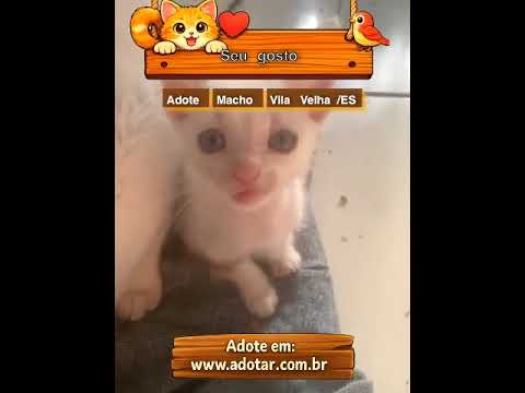 Vídeo de Seu gosto