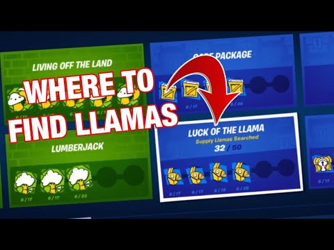 How to Complete “LUCK OF THE LLAMA” Punchcard!
