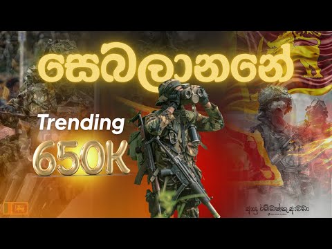 Sebalanene Oba Maruna Nowe | Neel Warnakulasuriya | සෙබලානෙනි ඔබ ❤️ Sinhala Song | Army Song