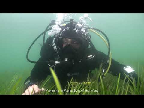 Dan Dŵr Cymru | Under Water Wales