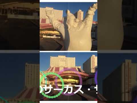 観光政策学科 2025年6月4日
