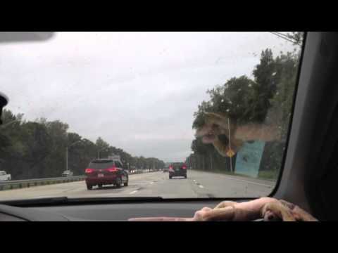 Idee per il video sul dialetti italiani