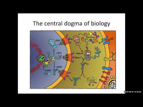 MIT CompBio Lecture 07 - RNA world, RNA-seq, RNA folding (Fall '19)