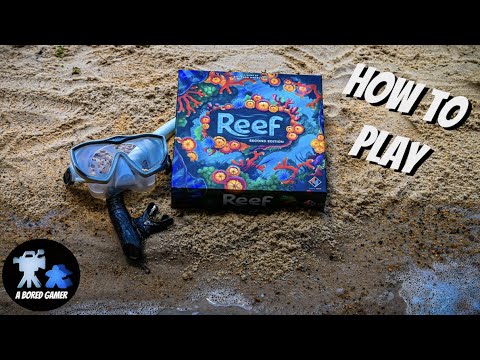 How to Play Reef