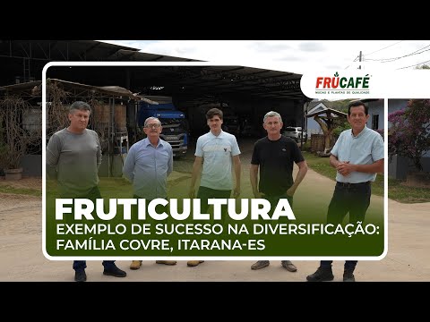 Por quê a Diversificação com Fruticultura é um sucesso? Conheça a família Covre, Itarana-ES.