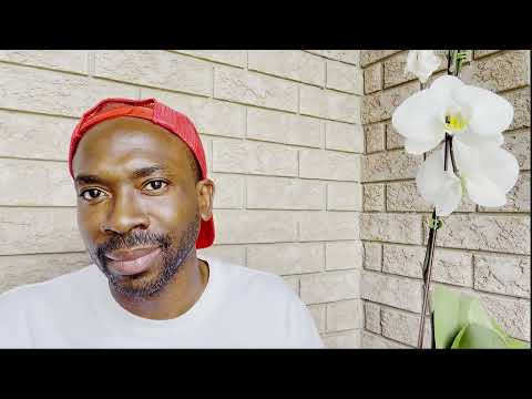 BookTok - The new gatekeepers in publishing