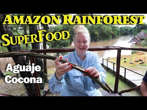 Niki's Unbelievable Amazon Rainforest Superfood Adventure