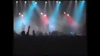 LOS VIOLADORES &quot;VIOLADORES DE LA LEY&quot;