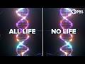 Why Is All DNA Right Handed