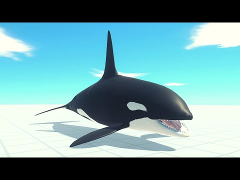 New Unit! Orca Vs Every Unit ARBS | Animal Revolt Battle Simulator