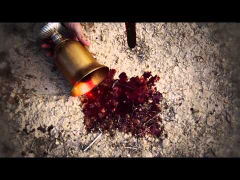 Casus Belli (Motivo de Guerra) - Bodegas Alta Planicie ENGLISH