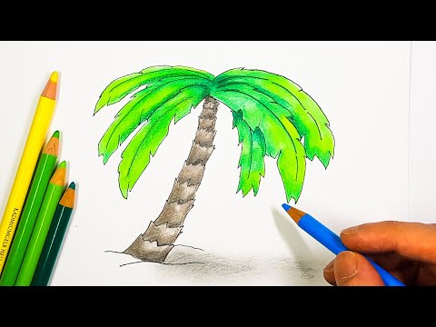 How to draw a palm tree?