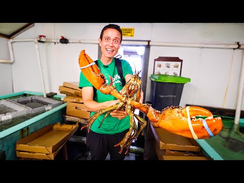 Giant LOBSTER ROLLS!! 🦞 Fresh Lobster + Warm Butter | Best Food Shacks in Connecticut, USA!