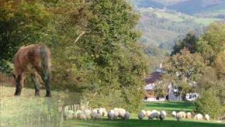 BERLIOZ= Le jeune pâtre Breton