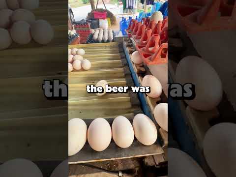 My sister told me I was uninvited from our family reunion, so I took my...