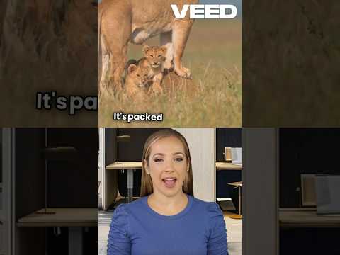 #WhyLionMilk Is So Unique: The Secret of #CubGrowth #unknownfacts