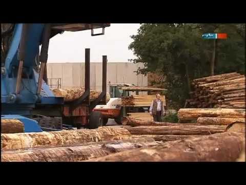 Hygieneholz - MDR Einfach genial - 27.09.2011