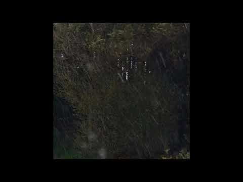 22. The Virus and Antidote - InTheMudWeLay [18.05.2016]