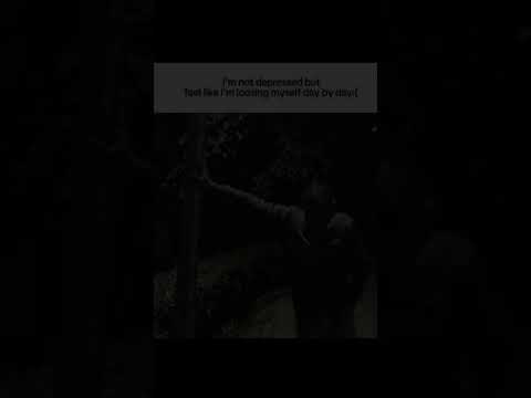 Monica Toy | Imitoys - If you can't imitate, just stay home! #MonicaToy #shorts#jaidmeel