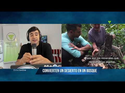 CONVIERTEN UN DESIERTO EN UN BOSQUE