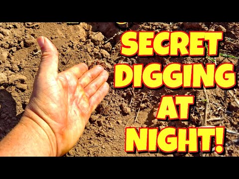 SECRET DIGGING AT NIGHT - WHO HAS DONE THIS ☆ ANIMAL ADVENTURES WITH AUTHOR THE MEERKAT MAN