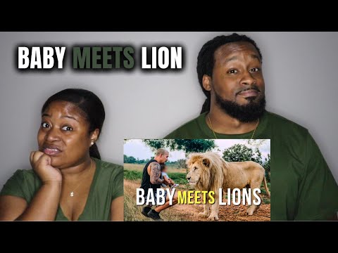 BABY MEETS LION! Dean Schneider & The Lion Pride | The Demouchets REACT