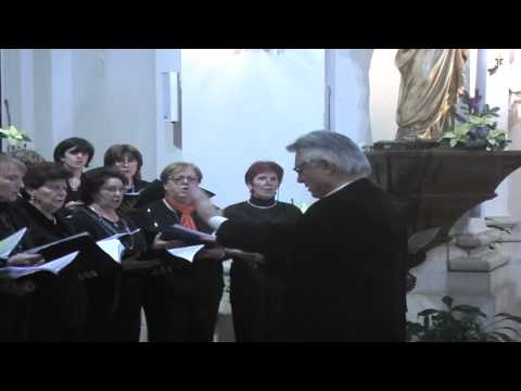 ONDA TG 16.12.2014 - FELIZ NAVIDAD   LE COMUNITA' LATINO AMERICANE SI SCAMBIANO GLI AUGURIok