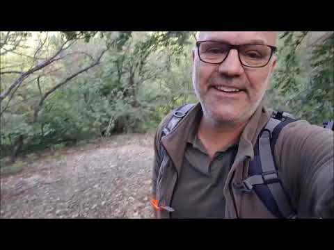 Wandern auf der Hainleite Tag X Advanced Level plzl. mitten im Übungsgebiet der BW Kochen im Wald