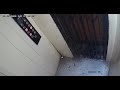 kid crushed by doors of elevator
