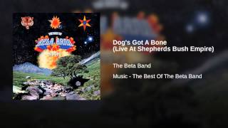 Dog's Got A Bone (Live At Shepherds Bush Empire)