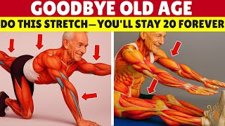 7 Stretching Secrets to Stay Young, Flexible & Energized After 60 | Seniors Mobility
