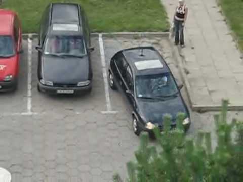 Mistrz parkowania   