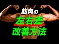 【筋トレ】筋肉の左右差を改善する方法【ビーレジェンド プロテイン】
