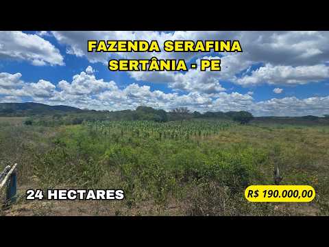 🌿 SÍTIO SERAFINA – PRODUÇÃO, ENERGIA E CUSTO-BENEFÍCIO NO SERTÃO PERNAMBUCANO 🌿