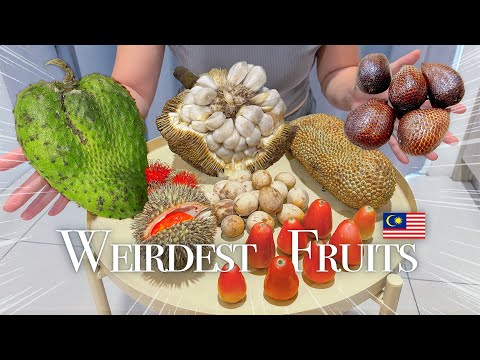 Weirdest fruits tour!!! | First time trying EXOTIC FRUITS in Sabah 🇲🇾