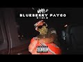 Nasty C Blueberry Faygo C Mix