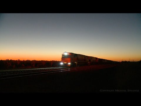 1PM6 Pacific National Freight Train After Sunset (10/2/2021) - PoathTV Australian Railways