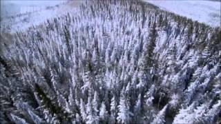 THE SEARCH - PAT METHENY GROUP