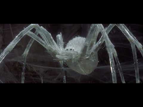 Krull (1983) - Stop Motion Shots