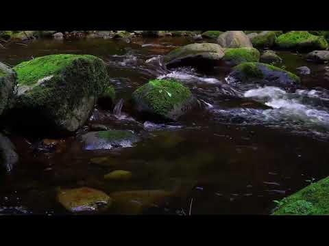 20 Minutes of Relaxing River Sounds.