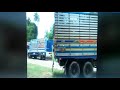Huge Elephant Loading On Truck