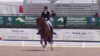 Video von Feivel Mousekewitz